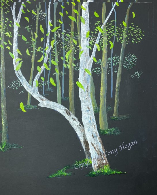 The coming of spring