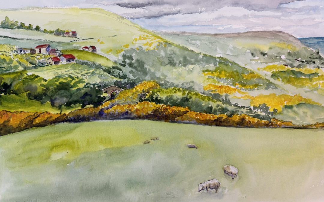 Ravenscar North Yorkshire summer day