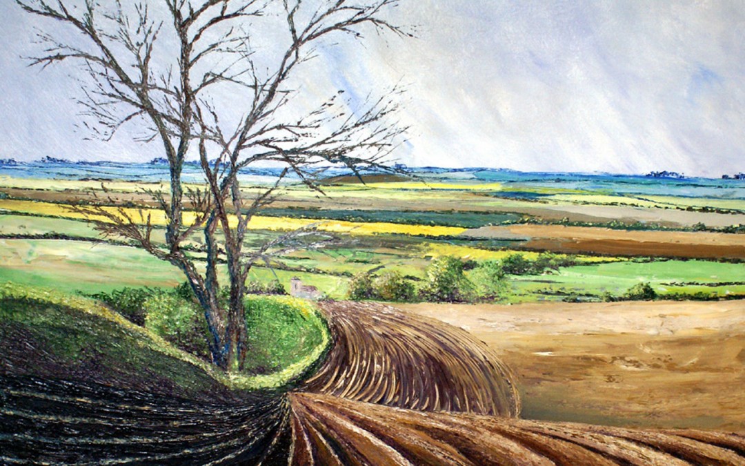 Fields of Furrows