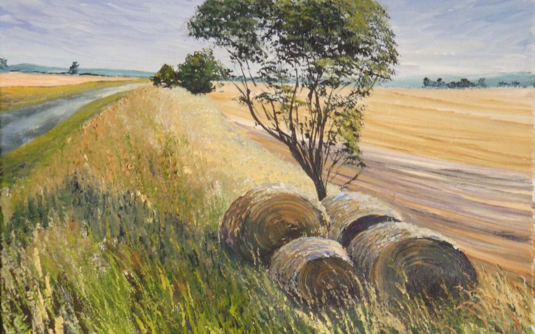 Forgotten bales of Hay