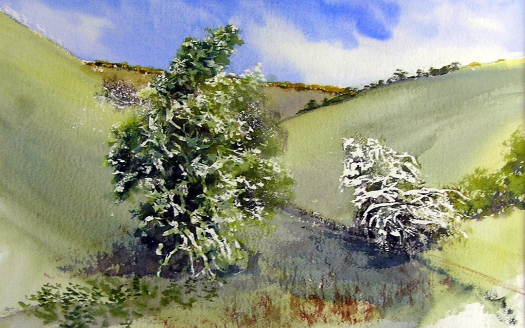 Hawthorn at Millington