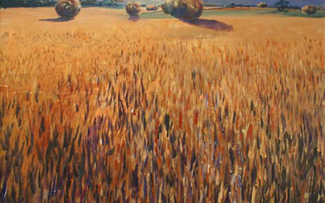 Hay bales  at sundown