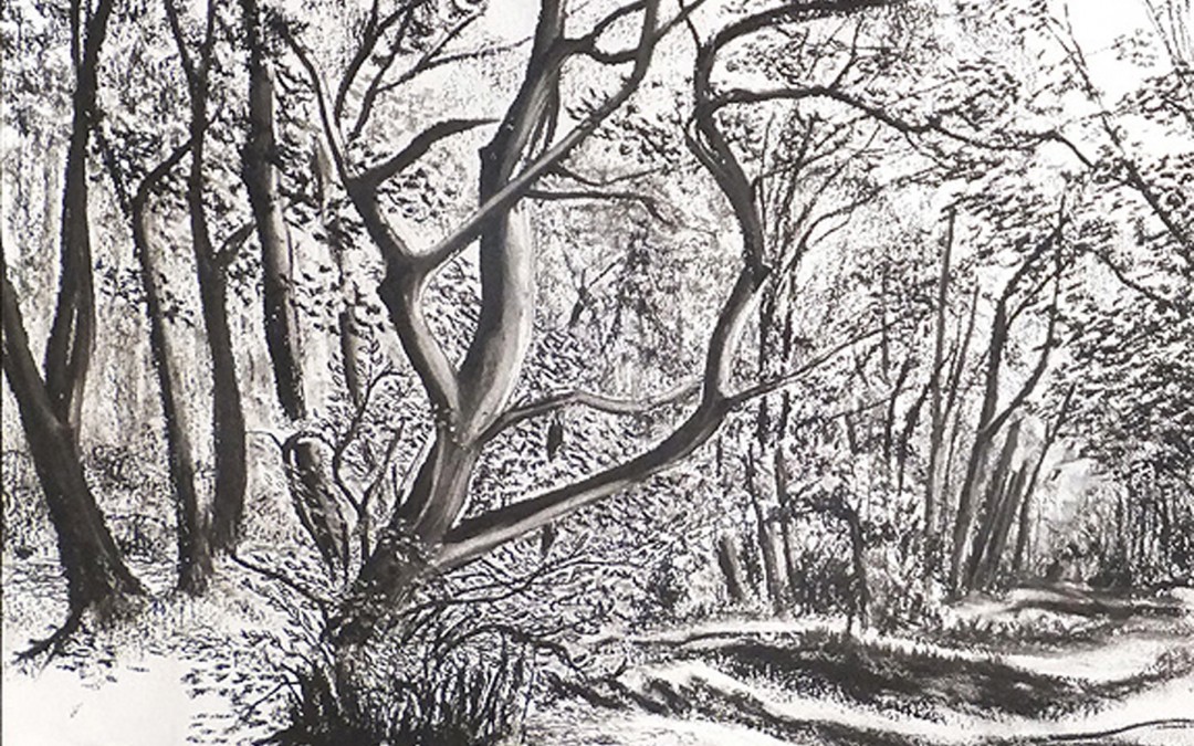 Woldgate in spring