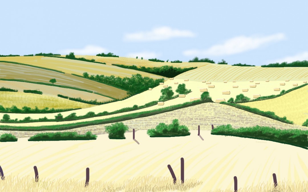 Wolds 3
