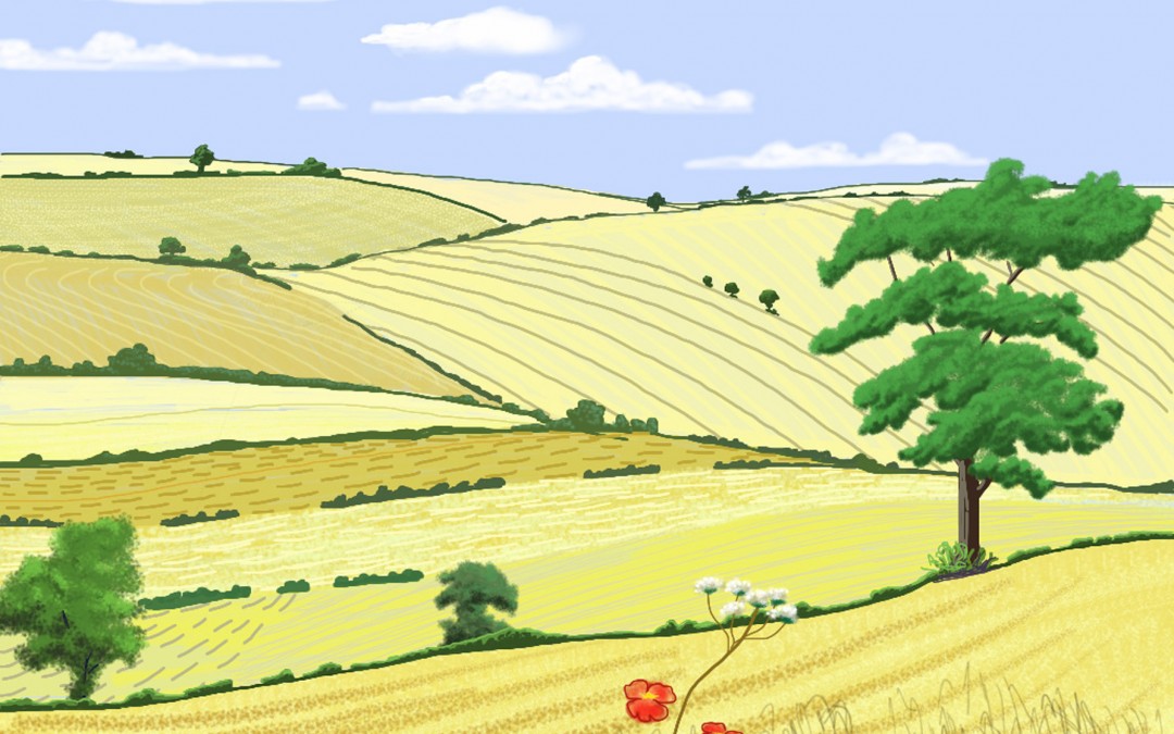 Wolds 5