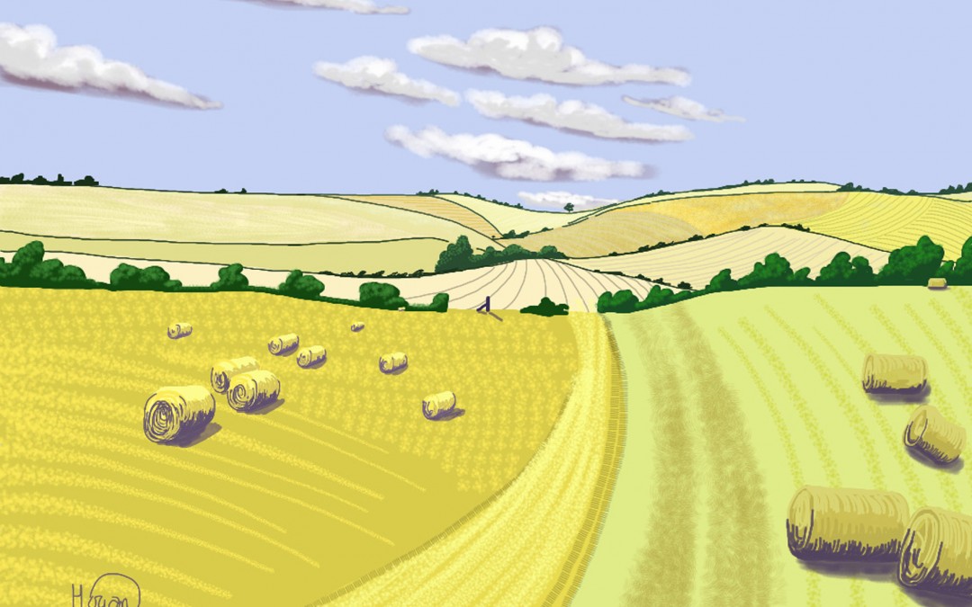 Wolds 6