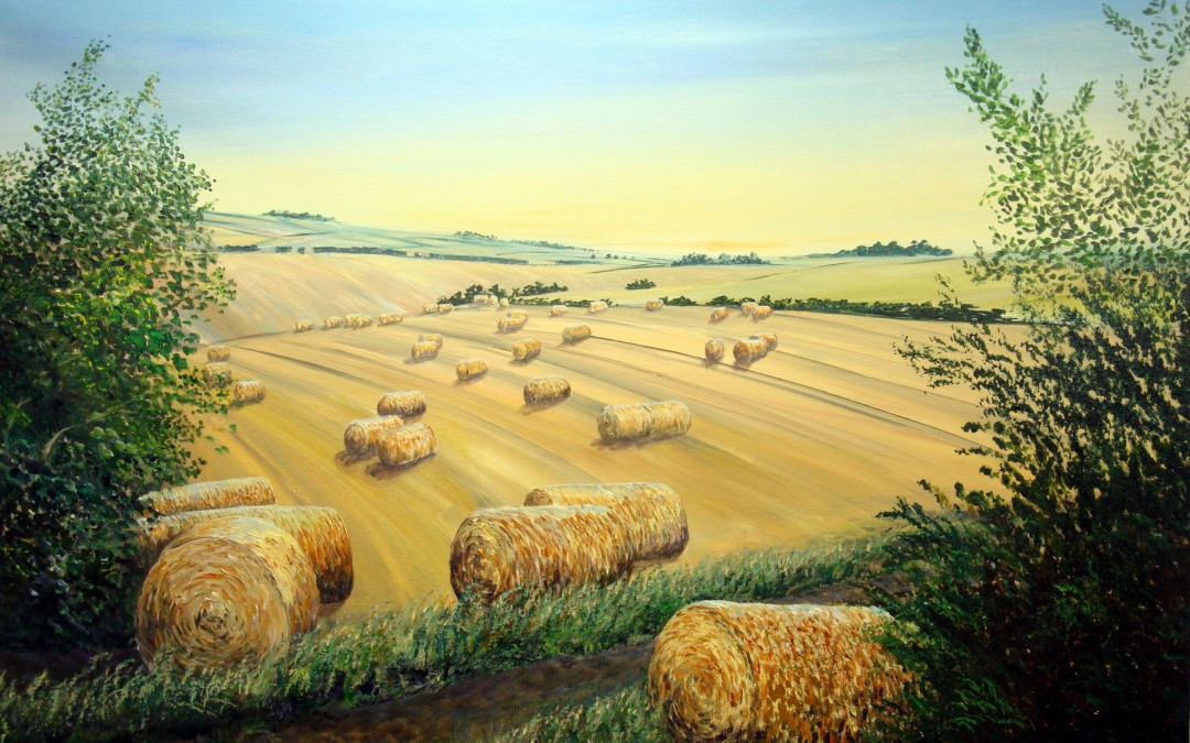 Wolds sun on Hay Bales