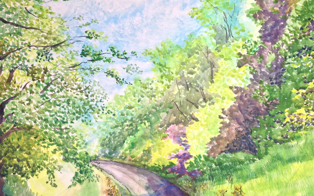 Full leaf on Camel trail towards Bodmin